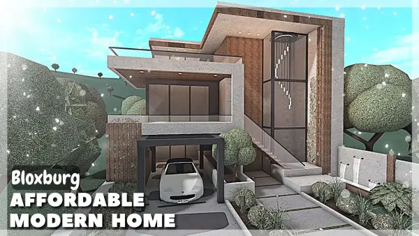 Modern Affordable House